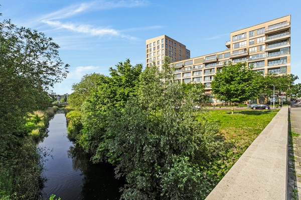 Medium property photo - Titus van Rijnstraat 151, 1058 GB Amsterdam